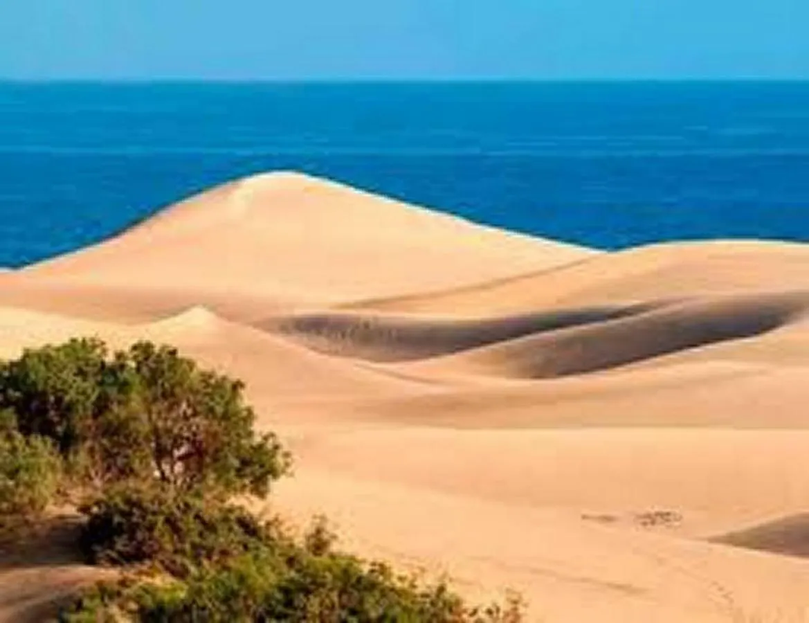 Bungalow Duna Flor Maspalomas Spain